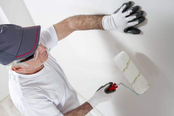 Best Attic Mold Removal  in Clinton, NY