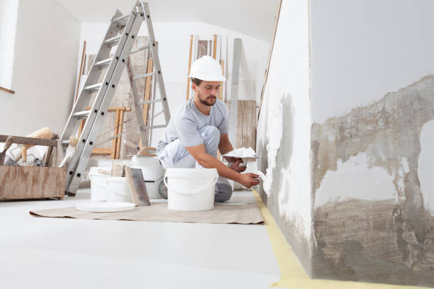 Best Commercial Mold Inspection  in Clinton, NY