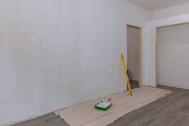 Reliable Clinton, NY Mold Removal Solutions